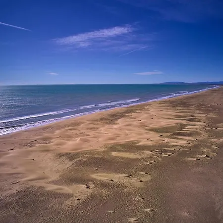Rincon En La Playa By Rinconesmediterraneos Apartment L'Eucaliptus