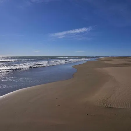 Rincon En La Playa By Rinconesmediterraneos L'Eucaliptus
